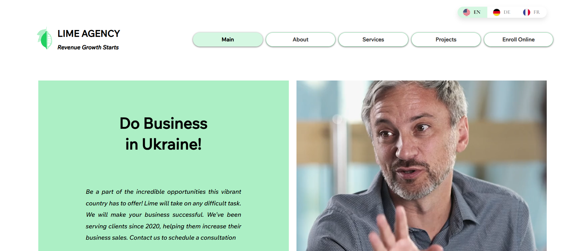 Preview consulting agency website